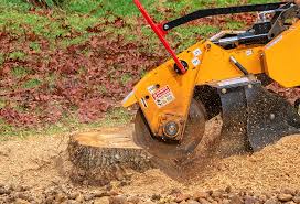 Best Aeration Services  in Dale, PA